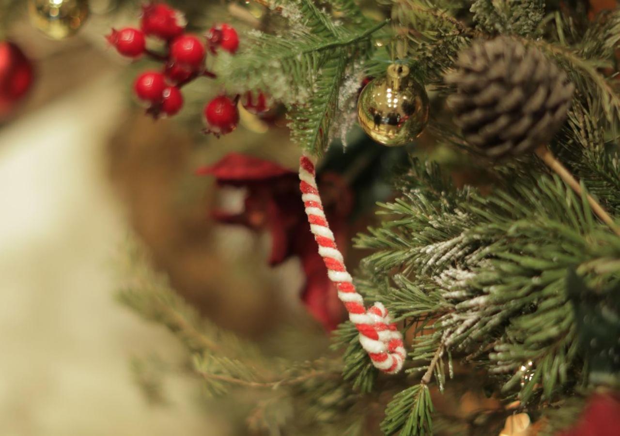 Gefinor Rotana - Beirut Hotel Eksteriør billede A candy cane on a Christmas tree